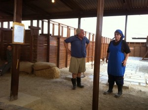 יאנק ושושנקה