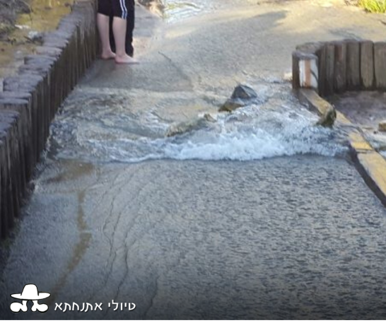 Hashofet_stream_3.jpg