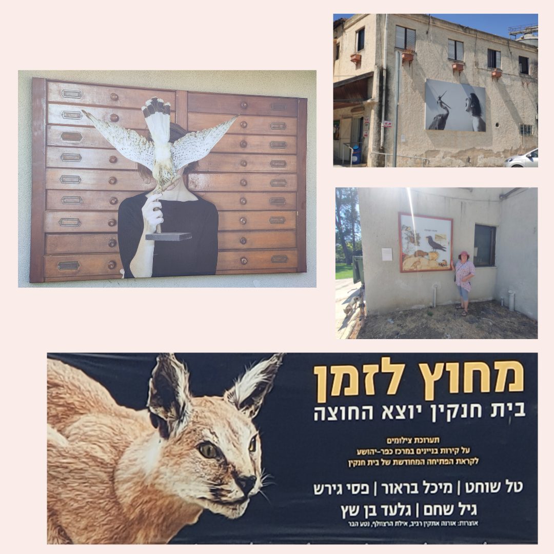 kfar_yehoshua